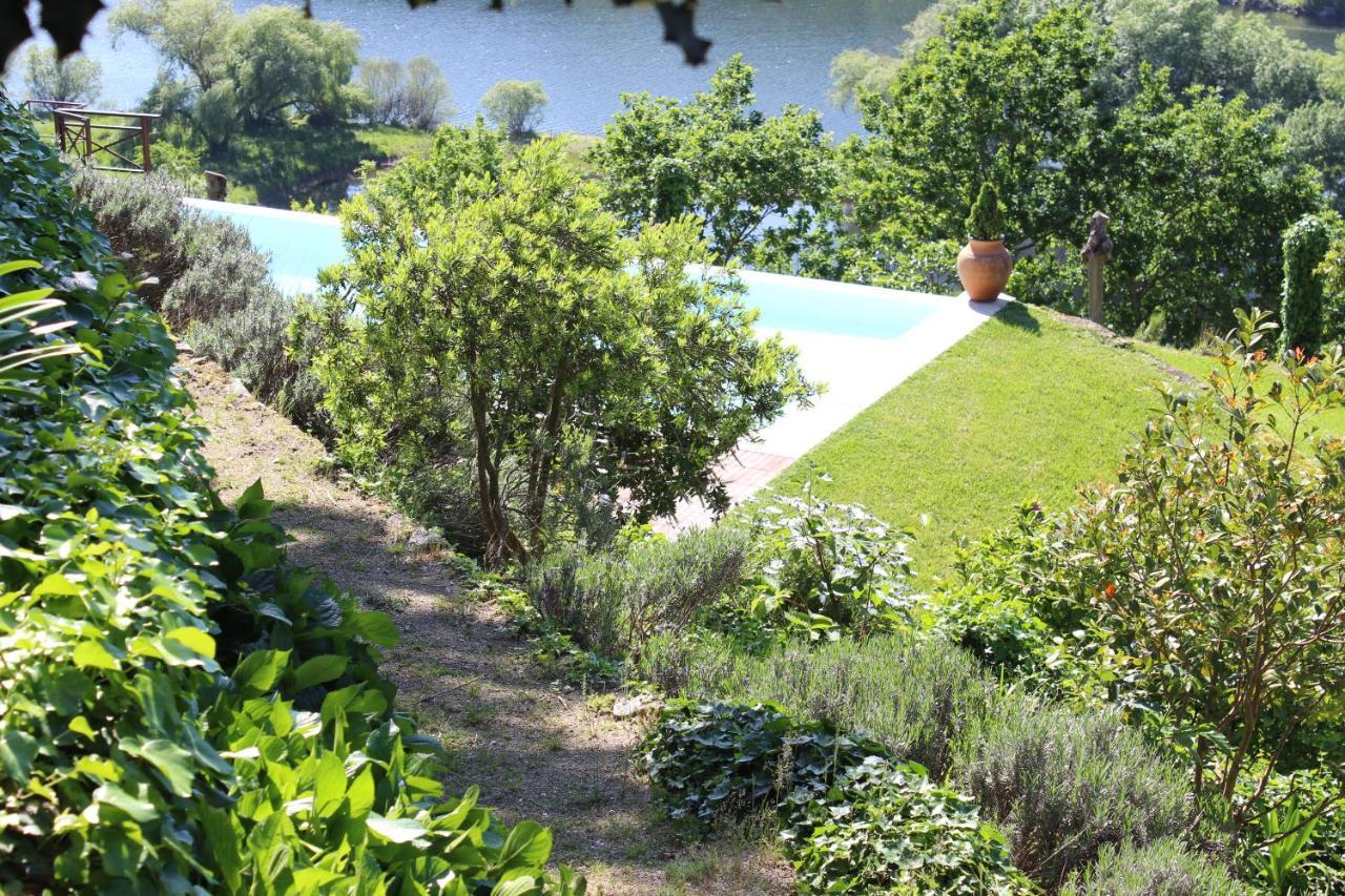 "Bouca Drigues" Casa Antiga De Pedra Com Piscina E Vista Rio Villa Amarante Exterior foto